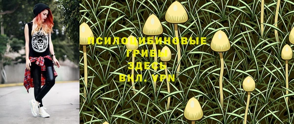 МДПВ Красноперекопск