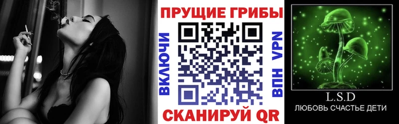 Купить закладки  Котлас  Галлюциногенные грибы GOLDEN TEACHER 